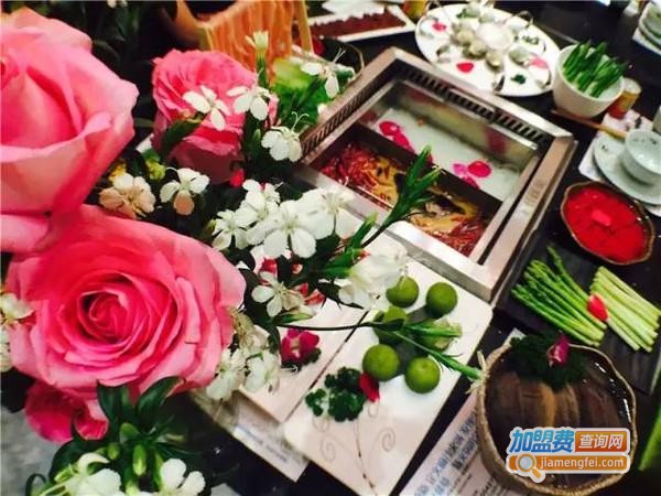 花开藤蔓加盟费