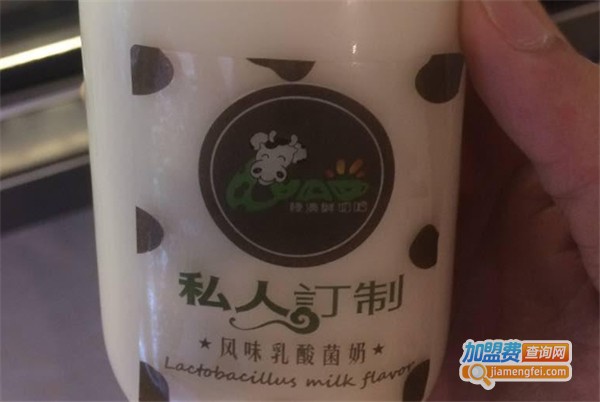 绿奥鲜奶吧加盟费
