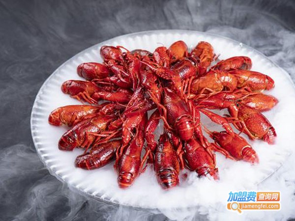 虾虾侬加盟费