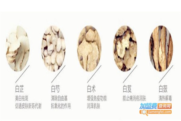 纯中药面膜美容店加盟
