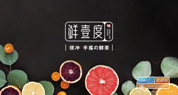 鲜壹度加盟费