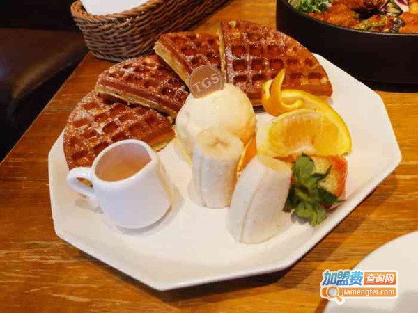 TGS蒂歌斯加盟费