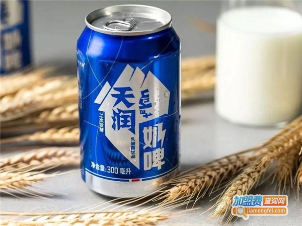 天润奶啤加盟费