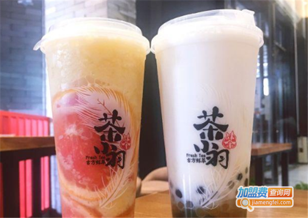 茶小羽加盟费