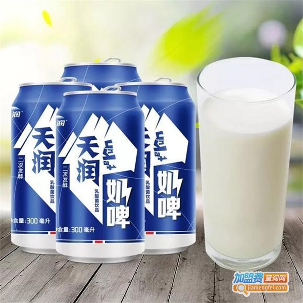天润奶啤加盟费