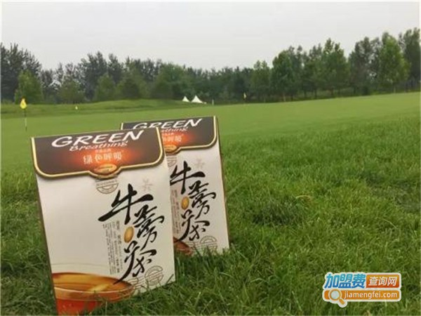 绿色呼吸牛蒡茶加盟费