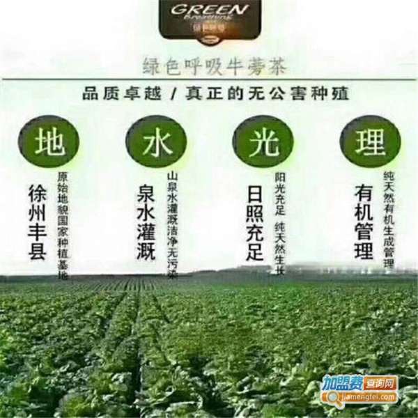 绿色呼吸牛蒡茶加盟费