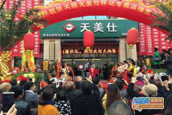 天美仕加盟费