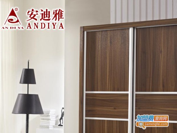 安迪雅家具