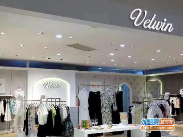 velwin女装加盟费