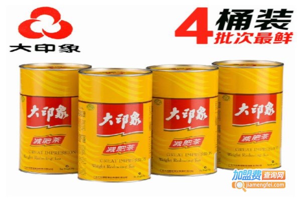 大印象加盟费