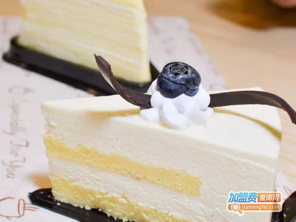 麦迪拉加盟费