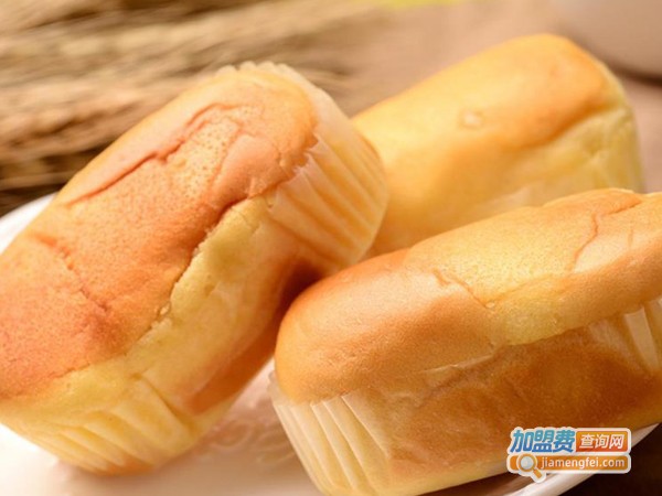 阿呆少爷加盟费