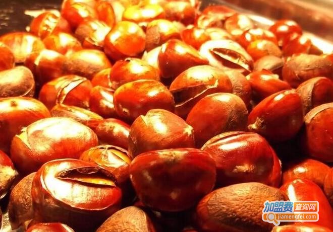 糖宝栗子加盟费