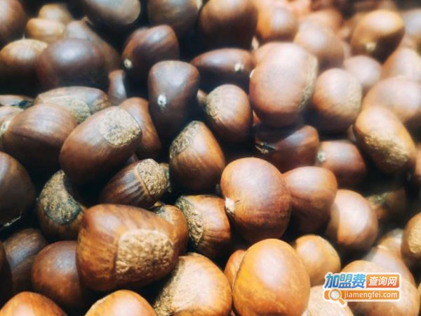 小柯油栗加盟费