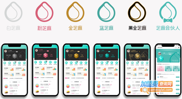 妈咪全知道加盟费