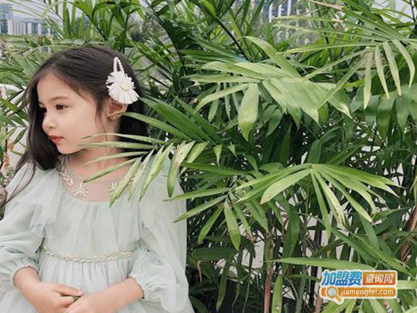 汐花糖加盟费