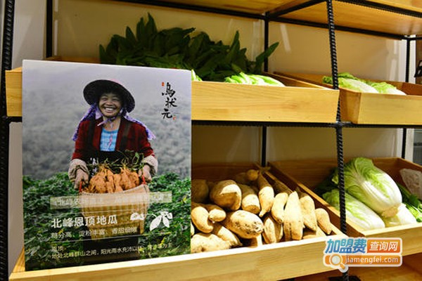乌状元加盟费