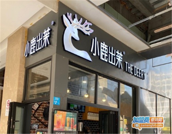 小鹿出茉奶茶加盟费
