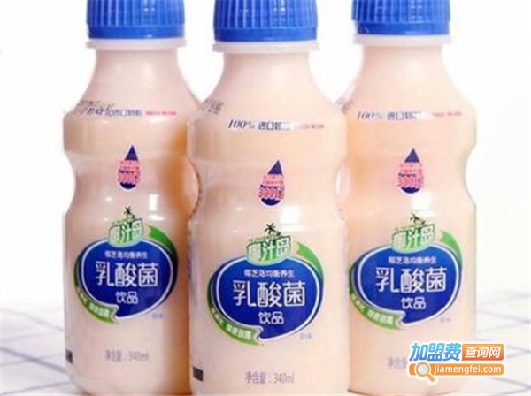 椰汁岛加盟费