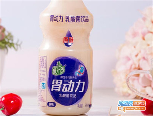 椰汁岛加盟费
