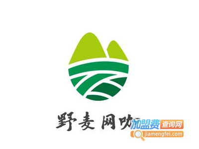 野麦网咖加盟费