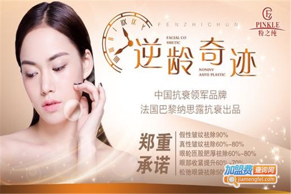 粉之纯加盟费