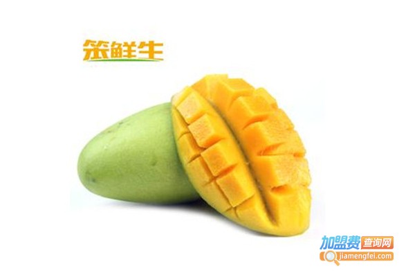 笨鲜生加盟费