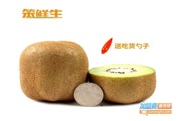 笨鲜生加盟费