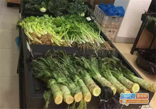 清美鲜家加盟