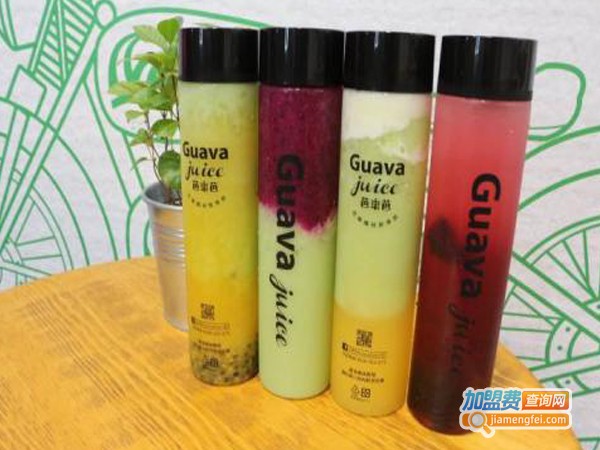 guava juice芭乐芭加盟费