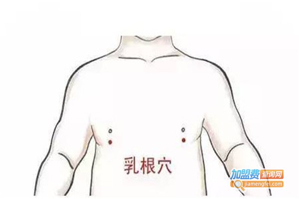经络丰胸加盟