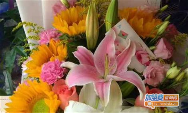 花香满屋加盟费