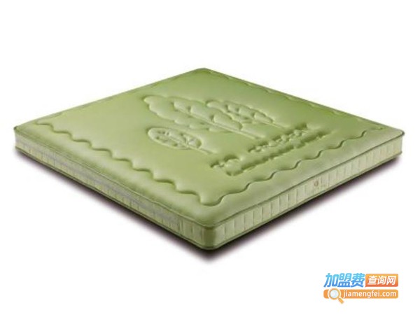 罗曼丽莎床垫加盟费
