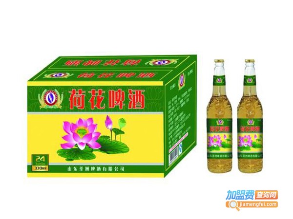 荷花啤酒加盟费