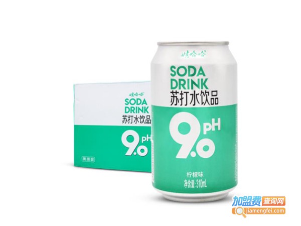 娃哈哈气泡水加盟