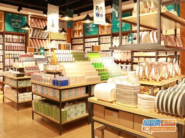 脑子进水创意店加盟费