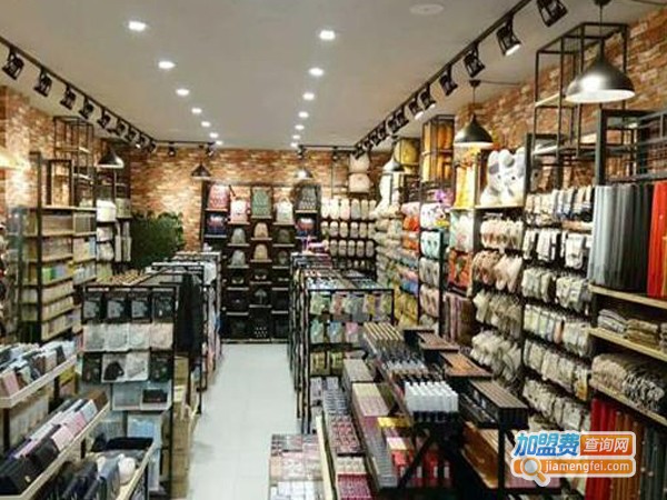 脑子进水创意店加盟费