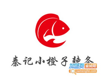 秦记小橙子辣条加盟电话