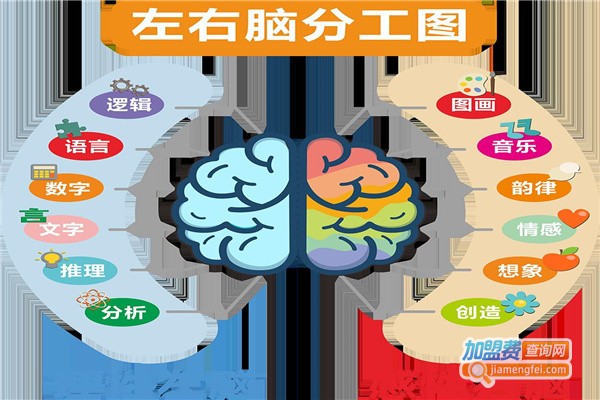 全脑开发培训加盟