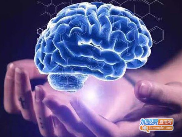 全脑开发机构加盟费