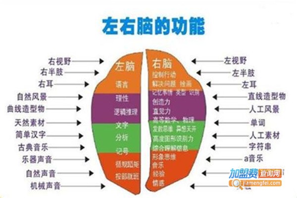 儿童全脑教育加盟