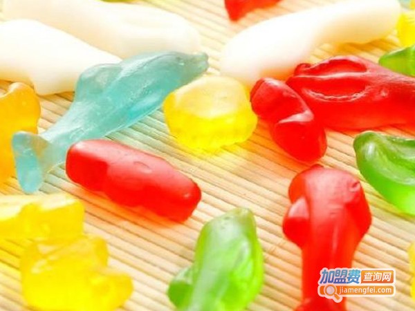 南北码头休闲零食加盟费