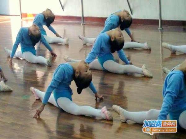 北京舞蹈培训学校加盟费