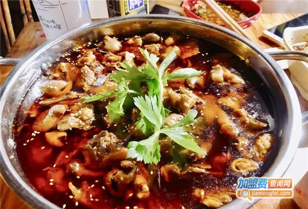 谢记肥肠鸡加盟费