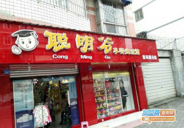 聪明谷育婴连锁加盟费