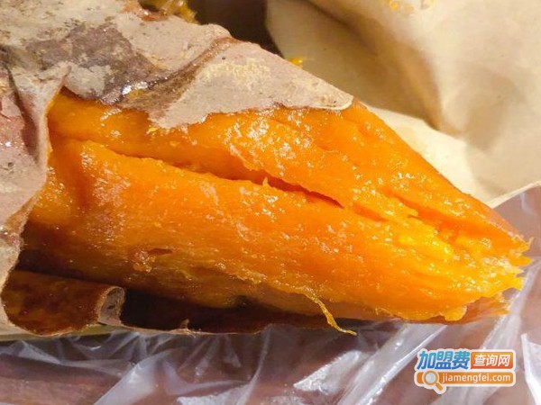 倔薯加盟费