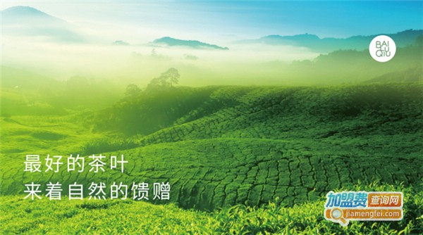 白鹿秋加盟