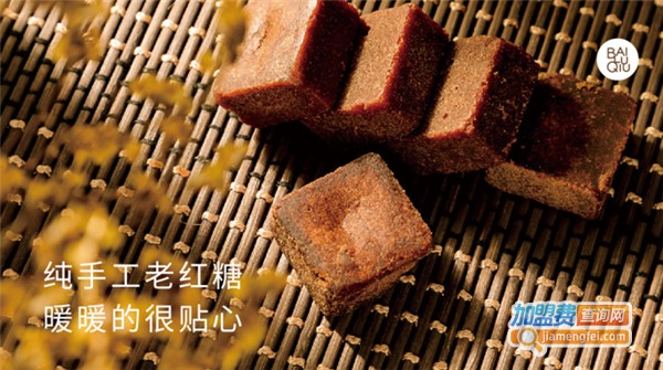 白鹿秋加盟