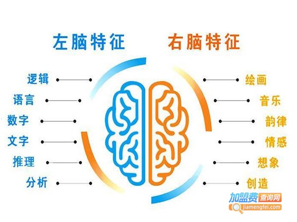 左右脑开发培训加盟费